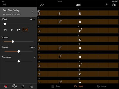 Play your favorite songs right away with the chord progression