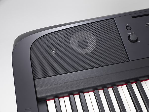 DGX-670 - Overview - Portable Grand - Pianos - Musical Instruments ...