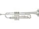 Bell: Yellow brass, Finish: Silver-plated