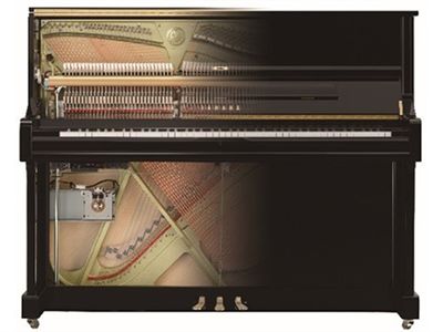 TransAcoustic TA2 Hybrid Piano System