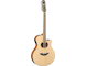 APX700II-12 Natural Left Front