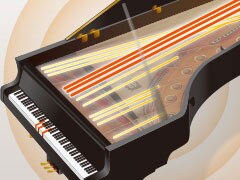 CLP-585 - Overview - Clavinova - Products - Pianos - Musical