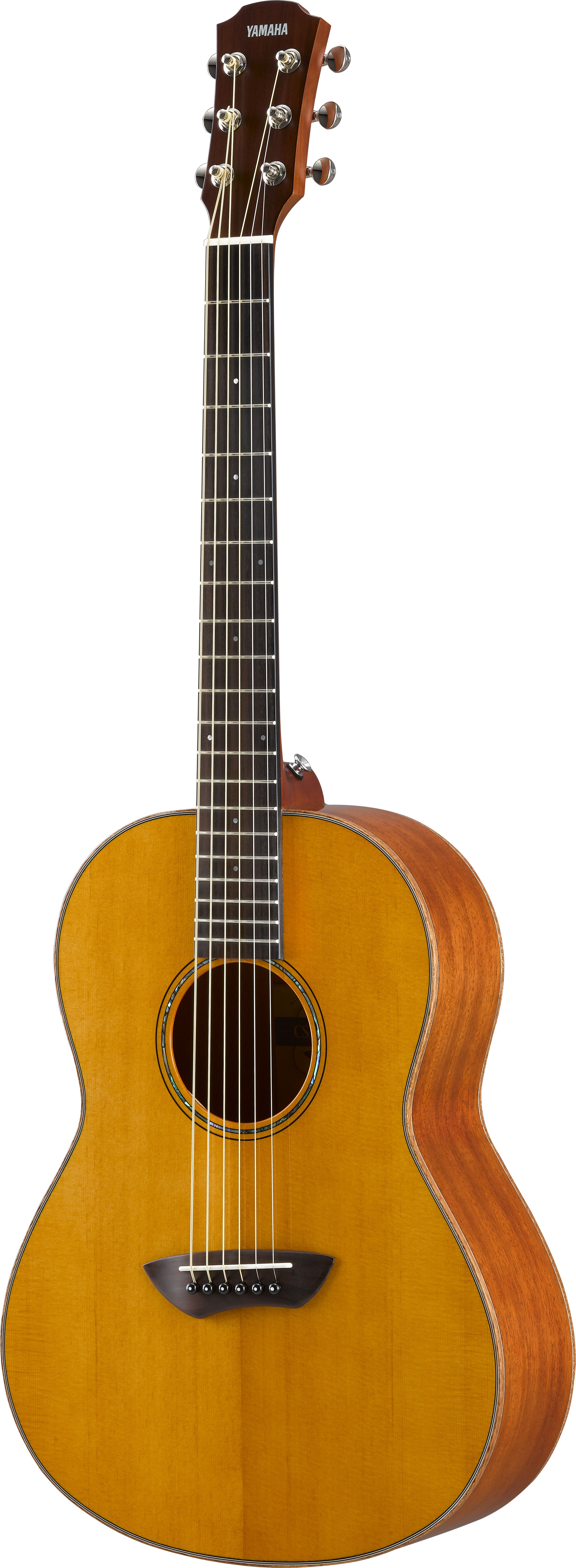 CSF - Overview - Acoustic Guitars - Products - Guitars, Basses
