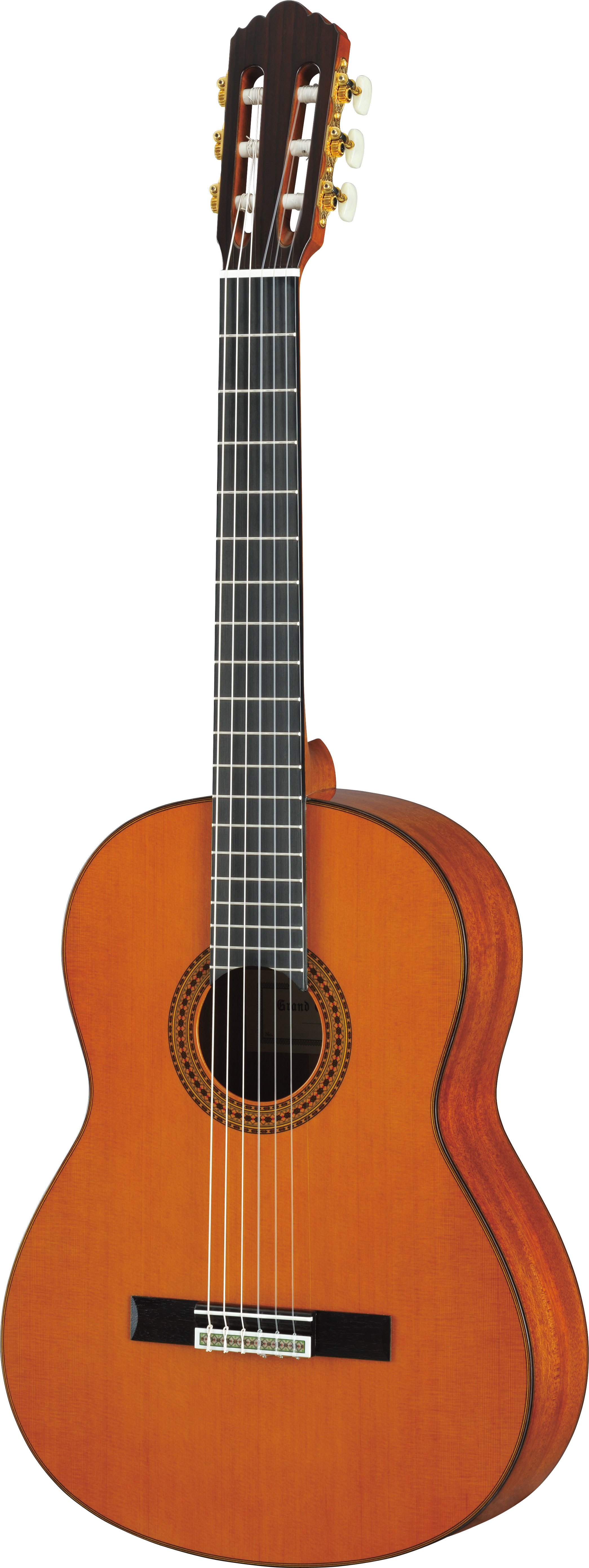 GC / GCX - Overview - Classical & Nylon - Guitars, Basses