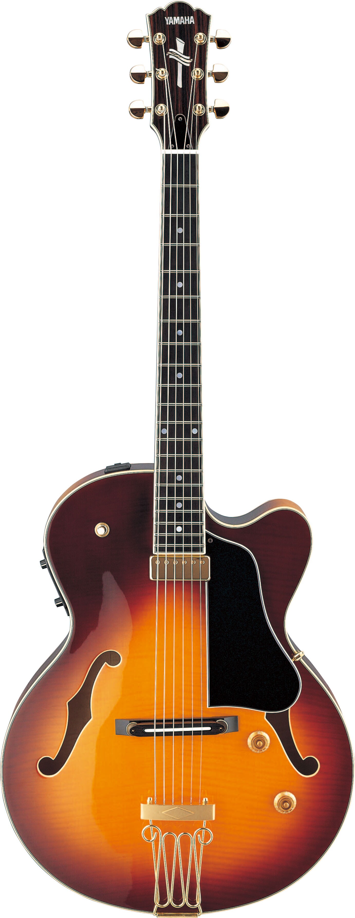 AEX1500 - Overview - Electric Guitars - Products - Guitars, Basses