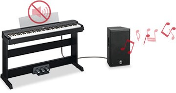 P-255 - Overview - P Series - Products - Pianos - Musical