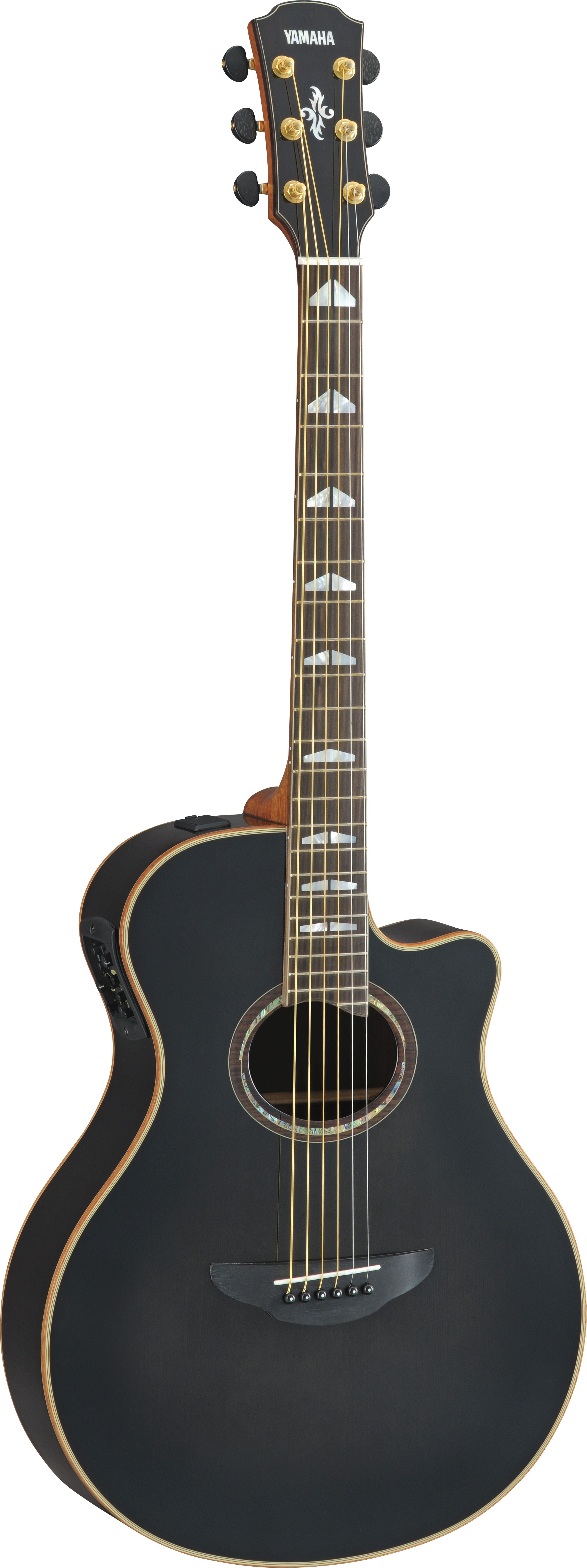 APX - Overview - Acoustic Guitars - Products - Guitars, Basses
