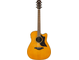 A1R Tobacco Brown Sunburst Straight Front