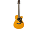 AC1M Vintage Natural Straight Front