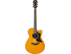AC1R Vintage Natural Straight Front