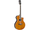 APX600FM AMBER Left Front