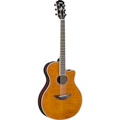 APX600FM AMBER Left Front