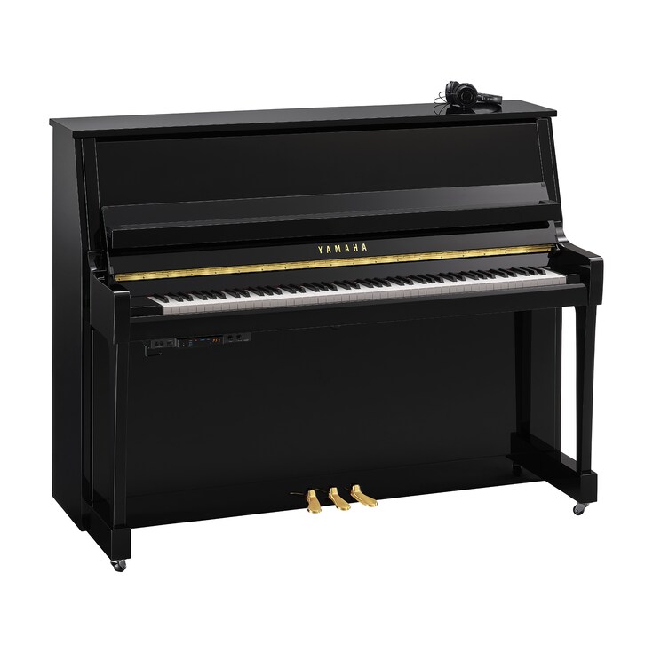 Product image of B20SC3 (Polished Ebony)