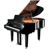 Yamaha C1X SH3