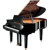 Yamaha C2X SH3