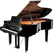 Yamaha C6X SH3