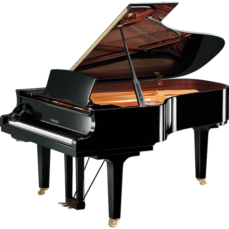 Yamaha C6X SH3