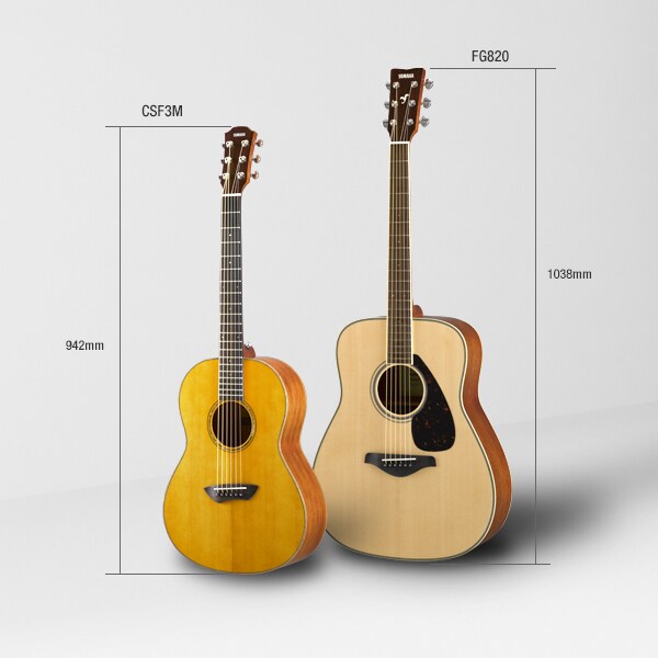 CSF - Overview - Acoustic Guitars - Products - Guitars, Basses