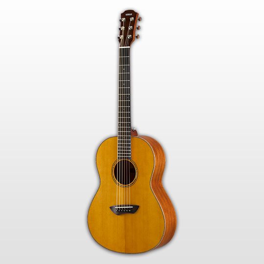 Acoustic Guitars - Guitars, Basses & Amps - Musical Instruments 