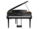 CSP-295GP_Polished Ebony_front