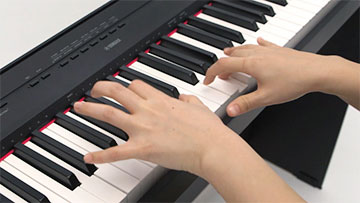 P-115 - Overview - P Series - Products - Pianos - Musical