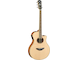 APX700II Natural Left Front