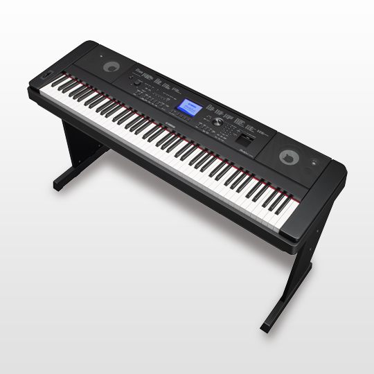 DGX-660 - Accessories - Portable Grand - Pianos - Musical ...
