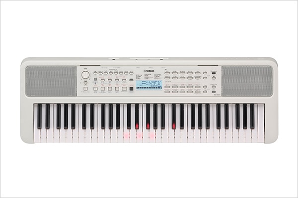 EZ-310