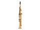 Finish: Gold-plated, Auxiliary Keys: Front F and High F# key 