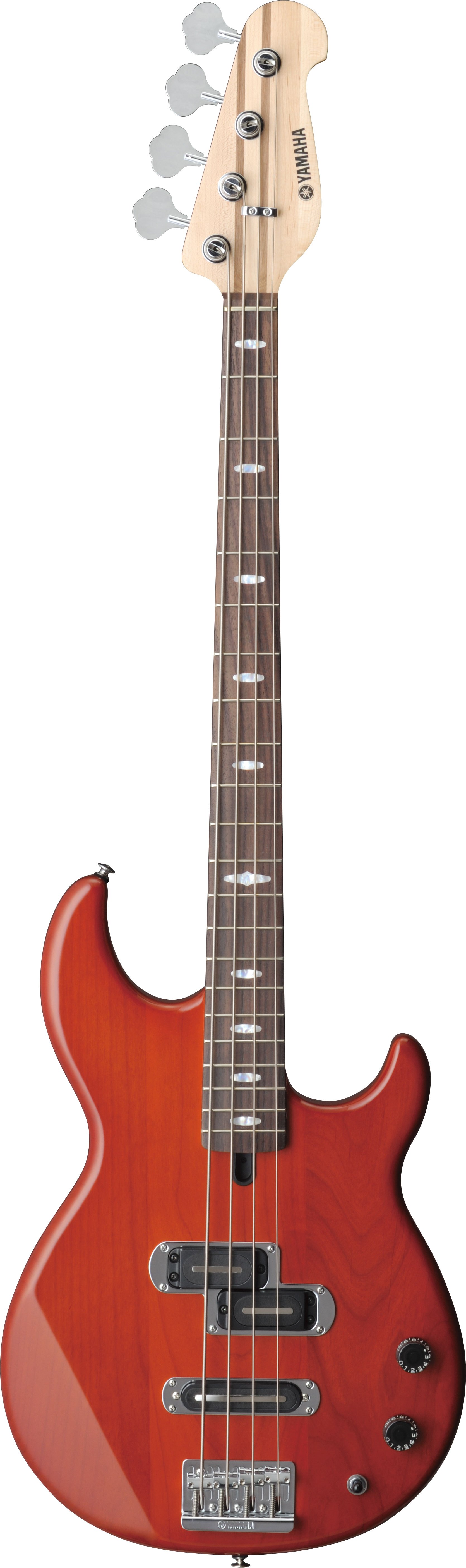 BB - Overview - Electric Basses - Guitars, Basses & Amps - Musical