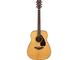 Product image of the FG800J with Natural color taken from the front