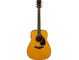 FGX5 with gloss finish straight front