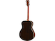 FS830 Tobacco Brown Sunburst Right Back