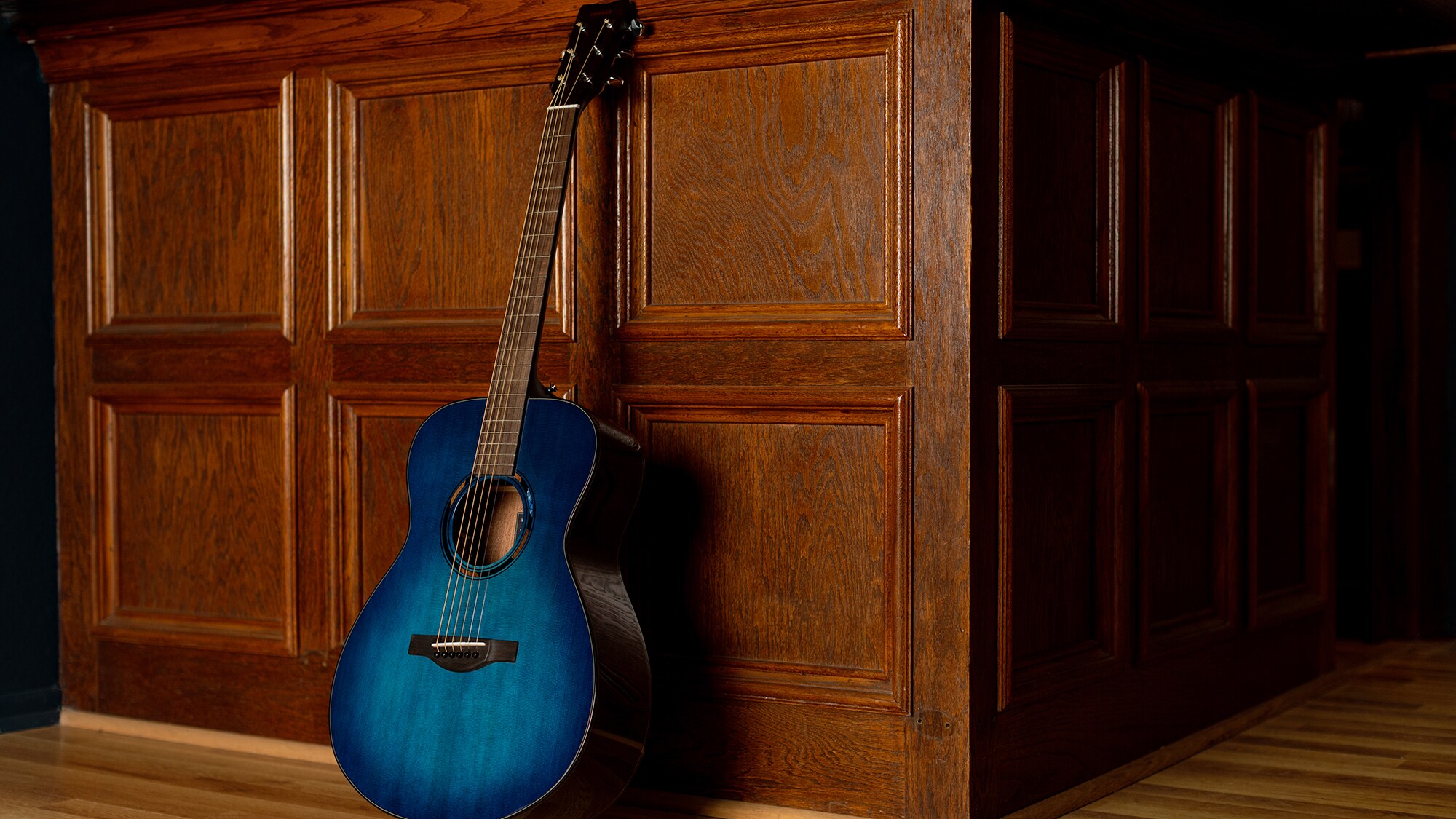 A TAS1 E acoustic guitar standing upright against a brown wall indoors