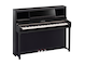 CSP-295_Polished Ebony_angle