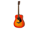 FG820 Autumn Burst Right Front