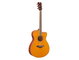 FSC-TA Vintage Tint Left Front