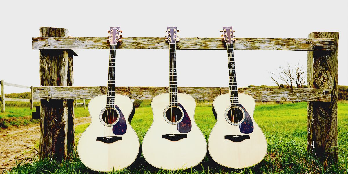 L Series - Overview - Acoustic Guitars - Guitars, Basses & Amps 