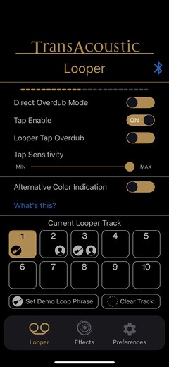 Looper Menu – Looper Settings