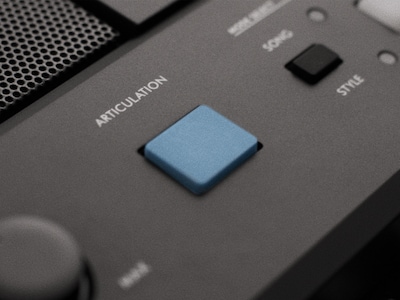 PSR-E483 Feature image of ARTICULATION Button