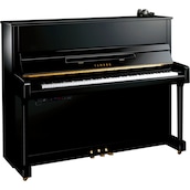Yamaha b3 SC3