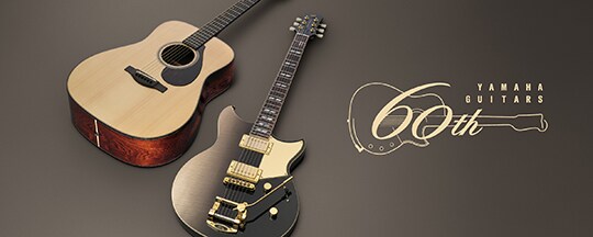 FG Series - Overview - Acoustic Guitars - Products - Guitars