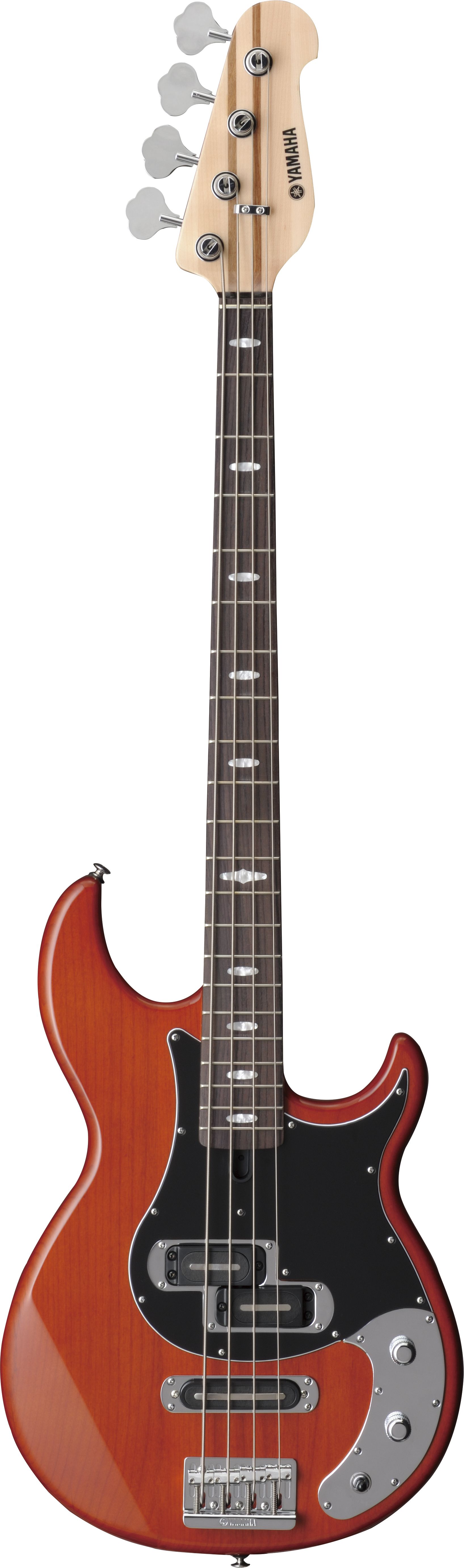 BB - Overview - Electric Basses - Guitars, Basses & Amps - Musical