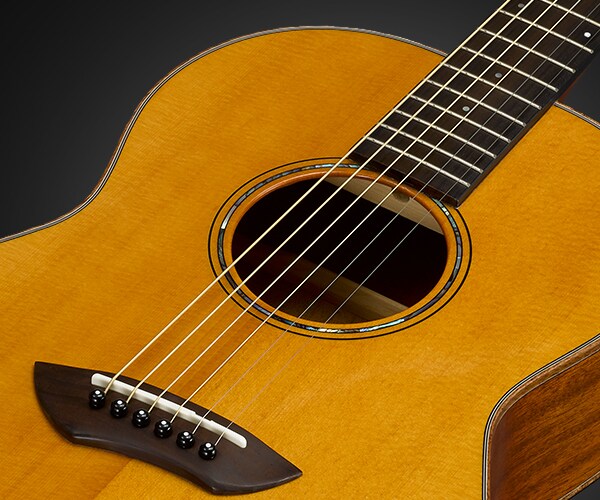 CSF - Overview - Acoustic Guitars - Products - Guitars, Basses