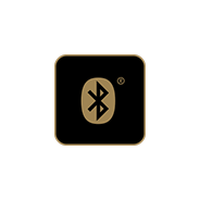 BLUETOOTH SUPPORT icon