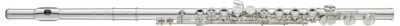 YFL-517
